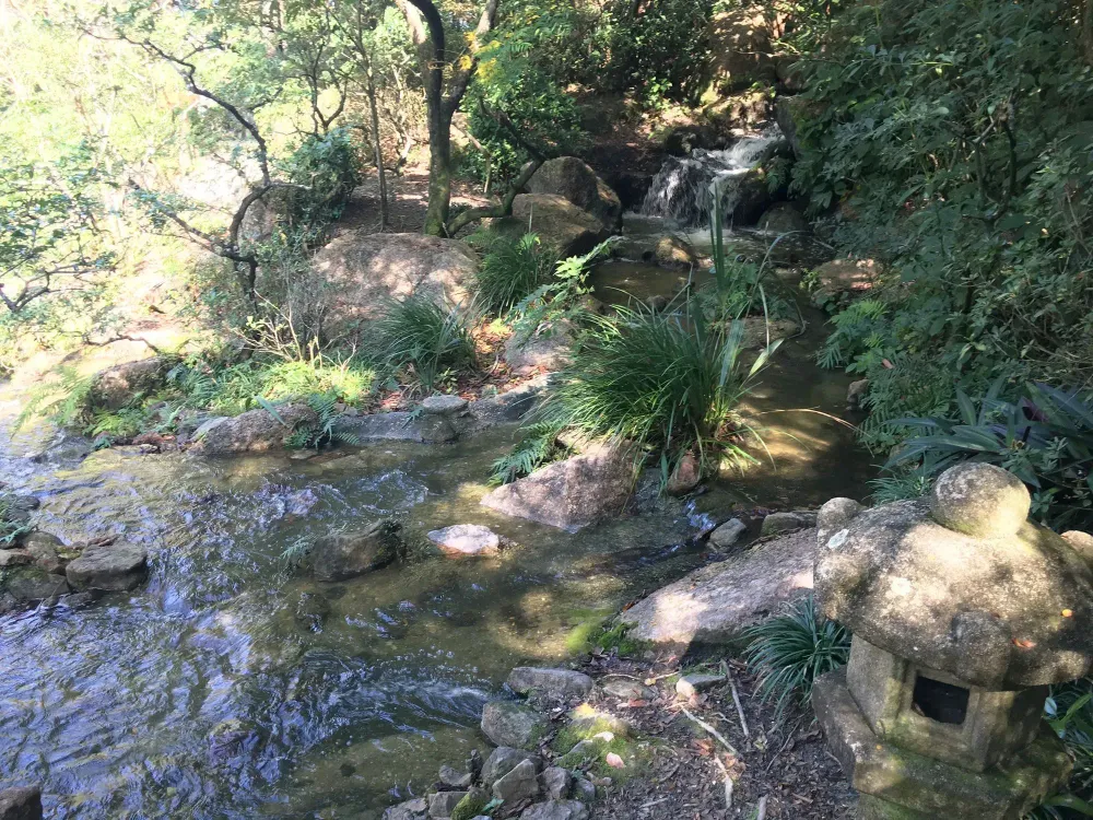 Morikami museum japanese garden, palm beach florida